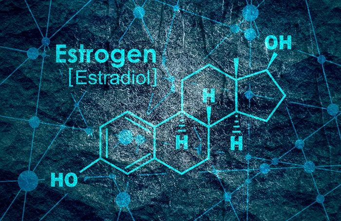 Ketidakseimbangan estrogen dapat menyebabkan berbagai gejala dan masalah kesehatan, termasuk gejala pramenstruasi, masalah menstruasi, endometriosis, infertilitas, sakit kepala, dan kelelahan.