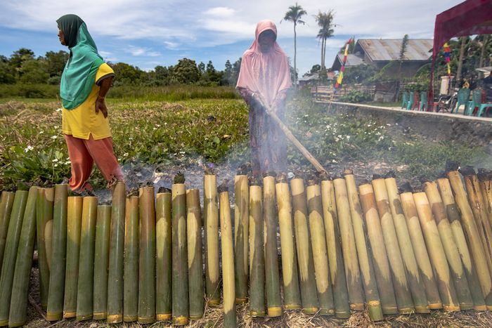 Warga memasak ketan bersantan dalam bambu atau Lemang untuk menyambut Kenduri Sko. 