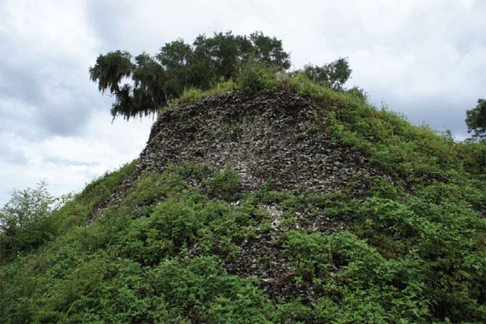 Situs Crystal River, Florida Gulf Coast, yang diperkirakan berisi 20-30 juta tiram yang terakumulasi antara 1.330 dan 800 tahun yang lalu.