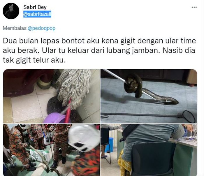 Pria di Malaysia digigit ular saat di toilet gegara keasyikan main game 