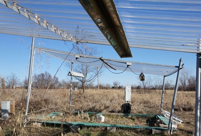 Para peneliti dari Institute for Environmental Genomics menggunakan pemanas untuk mensimulasikan pemanasan iklim di lokasi percobaan multifaktor jangka panjang di University of Oklahoma.