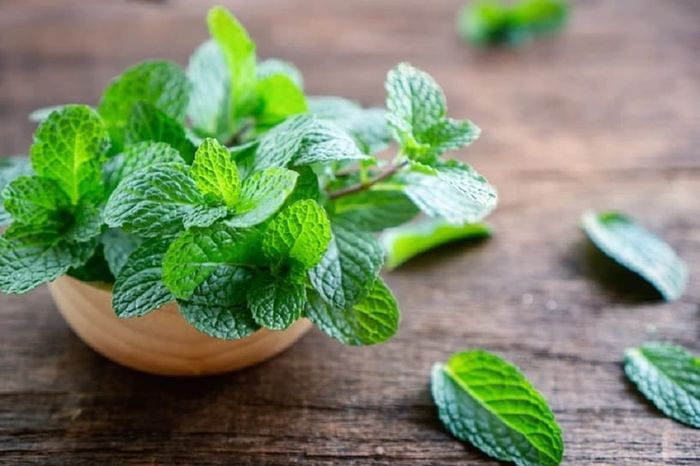 Daun mint