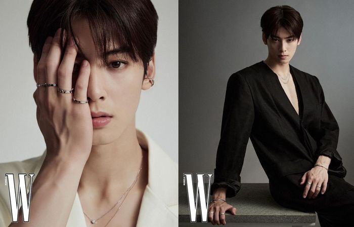 Cha Eun-woo ASTRO