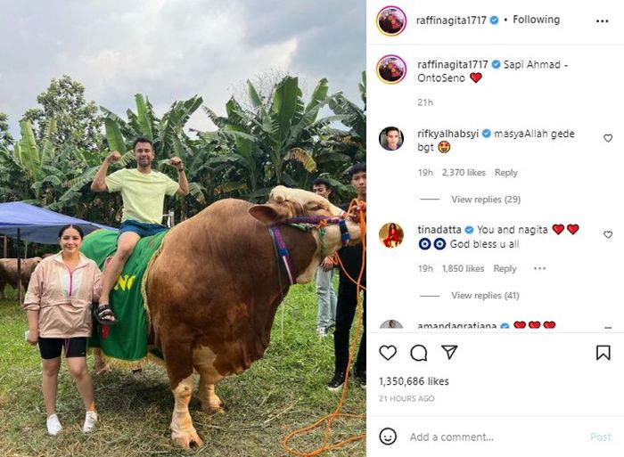 Unggahan sapi Idul Adha 2022 milik Raffi Ahmad. 