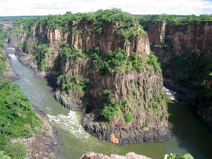 Sunga Zambezi di Afrika.