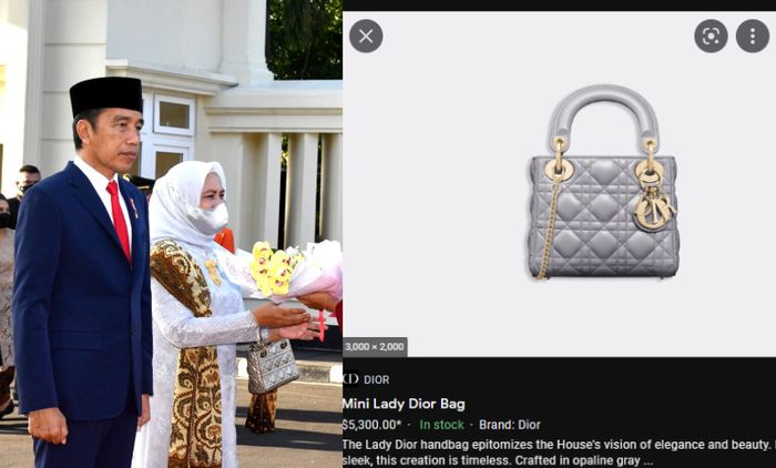 Ibu Negara Iriana Jokowi tenteng tas Mini Lady Dior