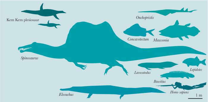 Perbandingan skala plesiosaurus dari Kem Kem.