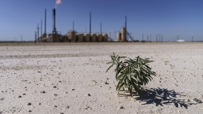 Satu-satunya tanaman tumbuh dari tanah kering di sebelah suar yang membakar metana dan hidrokarbon lainnya di Permian Basin di Pecos, Texas, Rabu, 13 Oktober 2021. Akumulasi karbon dioksida dan metana dalam selimut gas yang mengelilingi Bumi menahan lebih banyak panas. Dan sekarang ada hampir tiga kali lebih banyak metana di udara daripada sebelum zaman industri. Tahun 2021 melihat peningkatan tunggal terburuk yang pernah ada. 
