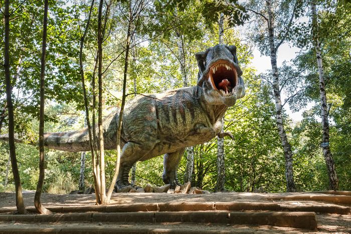 Mata elips membantu T-Rex menggigit lebih kuat.
