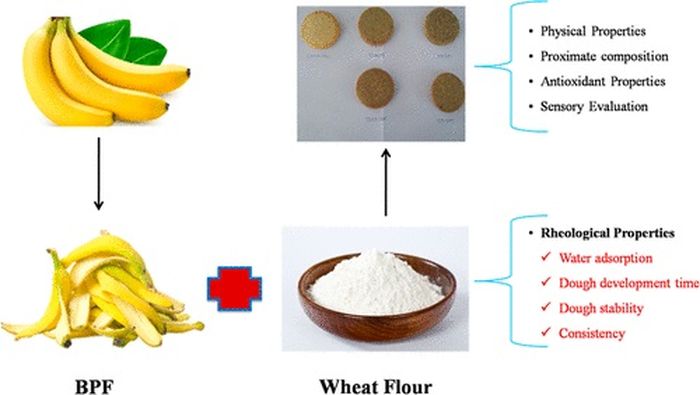 Dalam uji rasa, kue yang diperkaya dengan beberapa tepung kulit pisang lebih memuaskan.
