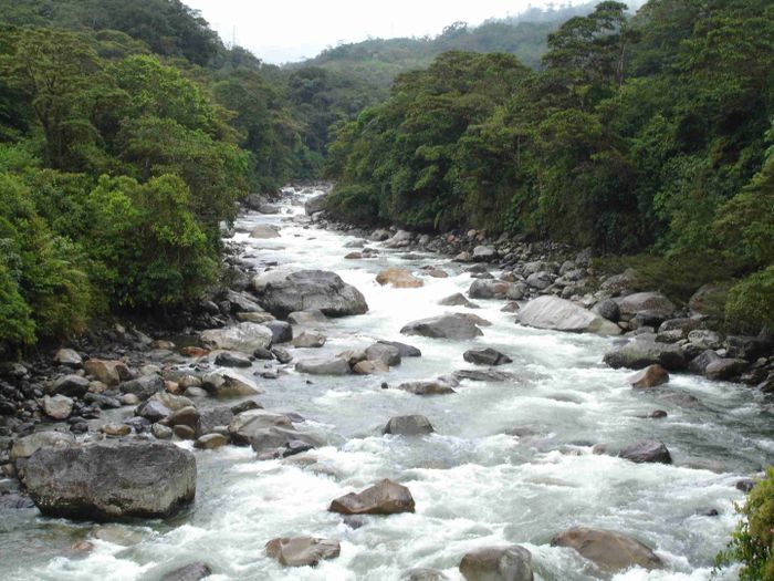 Rezim aliran alami sungai bertindak sebagai kontrol utama pada banyak sistem manusia dan ekologi.