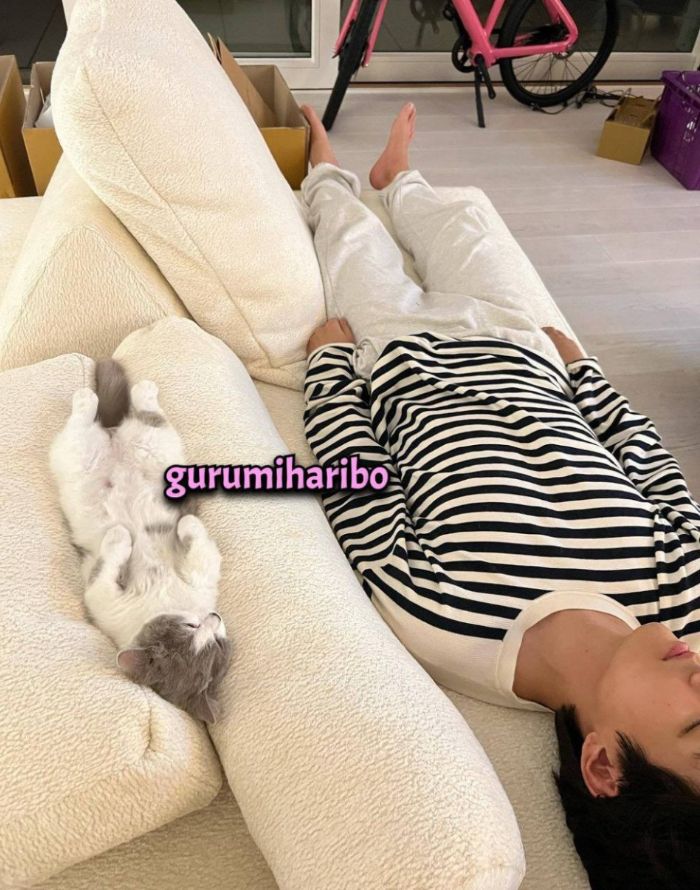 Foto V BTS tiduran di samping kucing diduga miliki ibu Jennie.