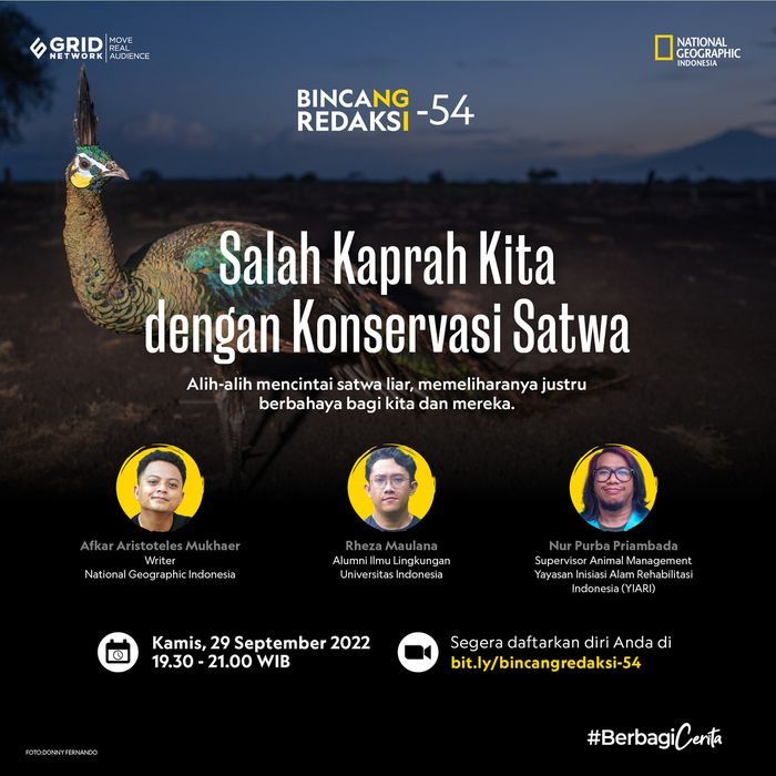 Bincang Redaksi-54: Salah Kaprah Kita dengan Konservasi Satwa dengan mengundang Rheza Maulana dan Nur Purba Priambada. Perbincangan diselenggarakan pada Kamis, 29 September 2022.