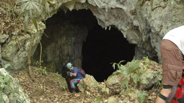 Pintu masuk ke Gua Teror Tengah Malam di Belize.