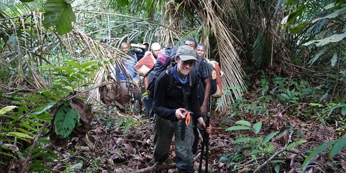 Peneliti mendaki ke hutan rawa untuk mengambil sampel gambut.