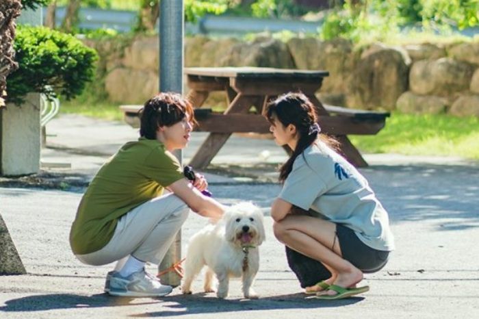 Rekomendasi Drama Korea Summer Strike, Tentang Pencarian Jati Diri