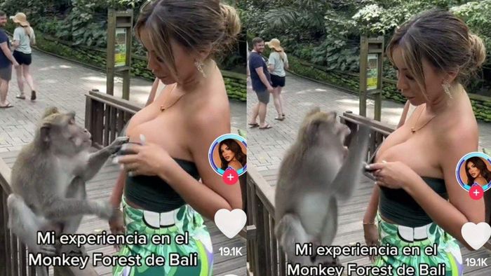 Atasan Paula Manzanal turun setengah dada karena ditarik monyet