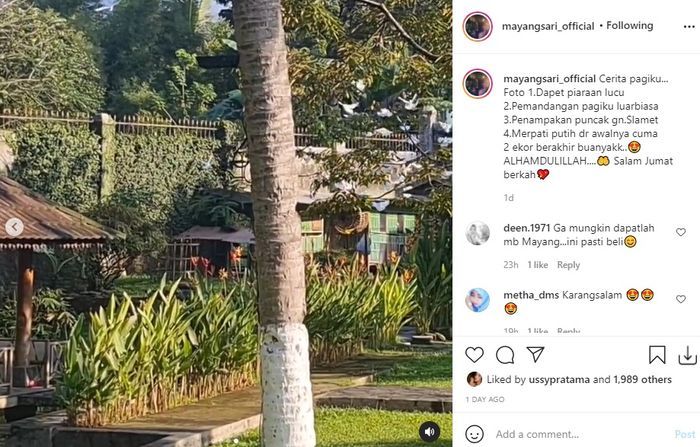 Rumah Mayangsari di Purwokerto