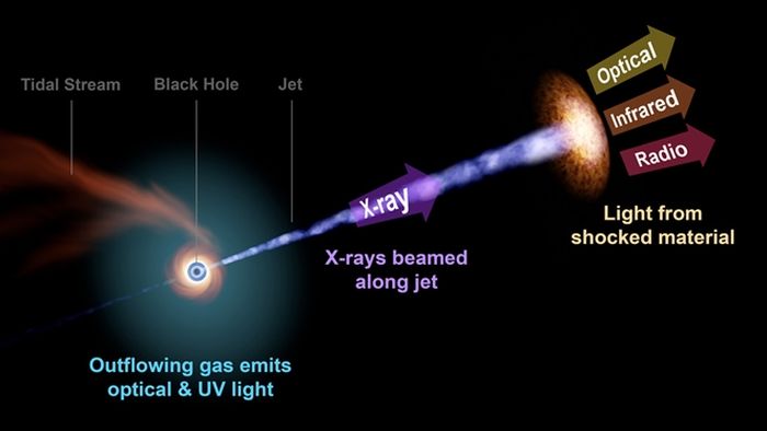 Pengamatan lanjutan TDE yang mengungkapkan luminositas sangat tinggi di seluruh spektrum elektromagnetik, dari sinar-X ke milimeter dan radio.