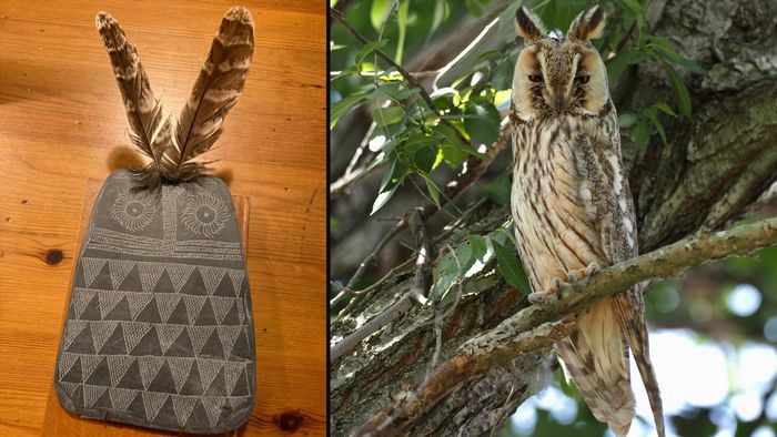 Replika (kiri) burung hantu batu berukir dengan dua bulu disisipkan di bagian atas di samping foto (kanan) burung hantu bertelinga panjang (Asio otus).