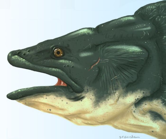 Restorasi kehidupan hipotetis coelacanth mawsoniid dari Formasi Tanah Liat Kimmeridge.