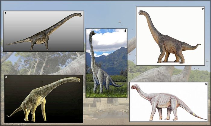 Titanosaurus adalah klad besar dinosaurus sauropoda yang anggotanya termasuk dan umum di sebagian besar ekosistem terestrial Cretaceous.