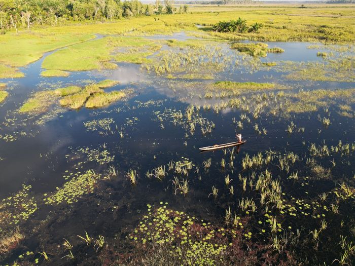 Bentang alam Rawa Biru, Distrik Merauke, yang menjadi bagian ekosistem Taman Nasional Wasur. Selain menyediakan pasokan ikan untuk warga, kawasan danau ini menjadi pemasok air bersih Kota Merauke. Kole-kole, semacam perahu kano, menjadi wahana transportasi andalan warga di rawa karena mempu menembus perairan dangkal dan celah rerumputan. 