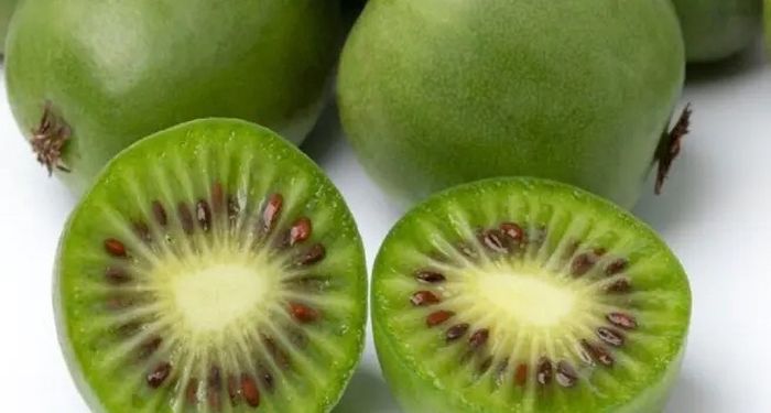Sarunashi adalah buah dari keluarga kiwi yang melindungi dari kanker paru-paru, menurut studi terbaru dari Jepang.