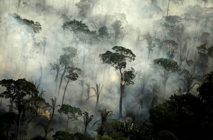 Asap mengepul dari kebakaran di daerah hutan hujan Amazon dekat Porto Velho, Brasil, pada tahun 2019.