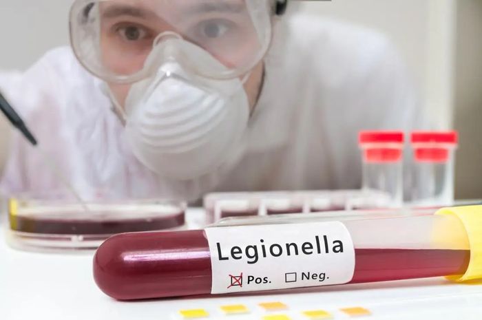 Legionella, satu-satunya genus dari keluarga Legionellaceae, memperoleh namanya setelah wabah pada tahun 1976 dari 'penyakit misterius'.