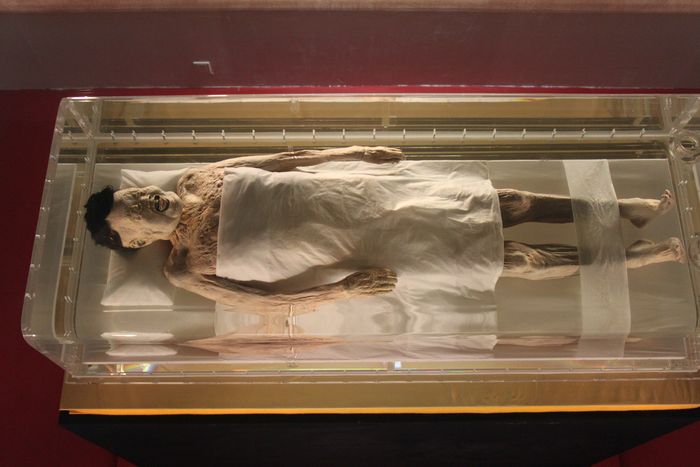 The Lady Dai atau dikenal sebagai The Diva Mummy adalah mumi berusia 2.100 tahun dari Dinasti Han Barat. Ia adalah manusia purba paling awet yang pernah ditemukan. 