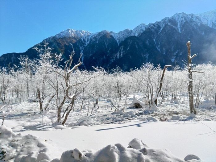 Kamikochi adalah zona sub-alpin (ketinggian 1500-1600m) di mana suhu turun di bawah -20 ℃ di pertengahan musim dingin.