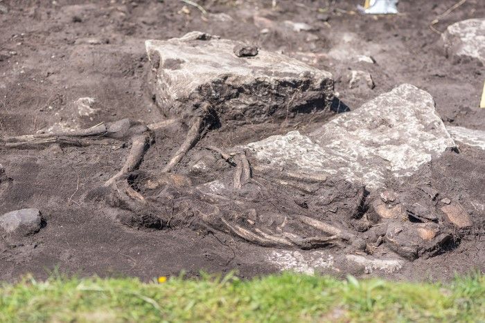Situs arkeologi Sandby Borg yang menjadi sumber DNA kuno dalam penelitian.