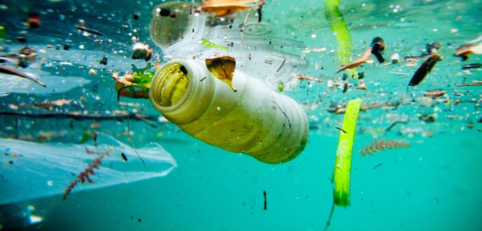 Dengan menggunakan jamur, ilmuwan mengubah sampah plastik di laut menjadi bahan membuat obat-obatan.