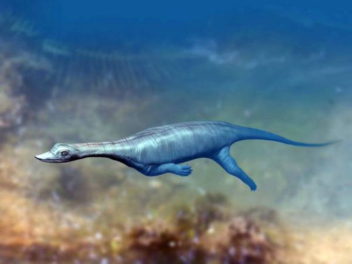 Impresi seniman tentang Wumengosaurus, kerabat betina dari Honghesaurus longicaudal.