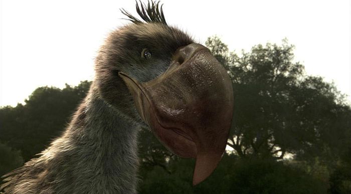 Burung predator berukuran raksasa yang dikenal dengan burung teror, menempati rantai makanan teratas sekaligus menjadi teror bagi ekosistem di bumi.