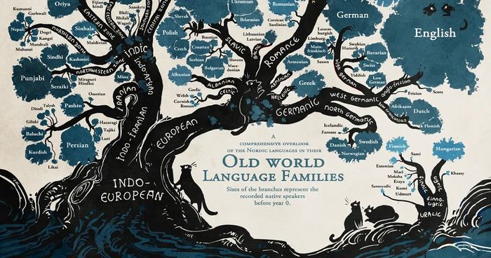 Bahasa memiliki akar evolusi yang dipengaruhi dari kebudayaan asalnya.
