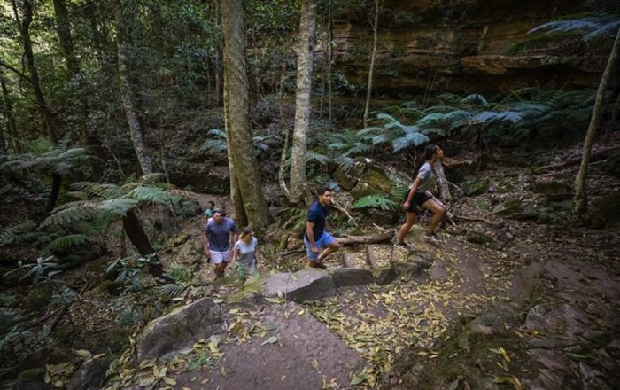 Trekking di area sekitar Blue Mountains 