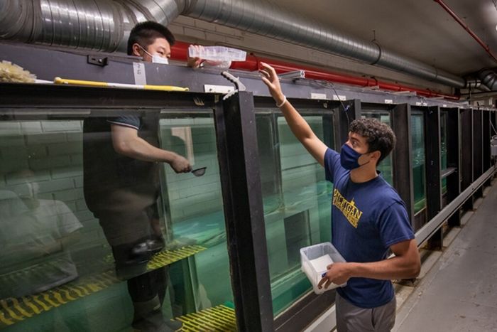 Yukun Sun dan William Leal, keduanya di Departemen Arsitektur Angkatan Laut dan Teknik Kelautan di UM, menempatkan pelet mikroplastik di atas air di tangki gelombang angin di Laboratorium Hidrodinamika Laut.