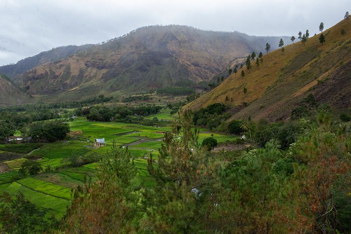Pada 74 ribu tahun silam, ledakan Toba memuntahkan material vulkanis dalam jumlah amat besar. Terjadilah kekosongan dapur magma dan tubuh gunung api pun amblas, menjadikan kawasan Toba sebagai kaldera terbesar di dunia, yang kini meniupkan napas bagi warga yang tinggal di sekelilingnya.