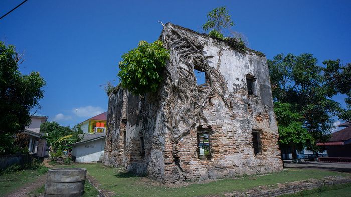 Dahulu, Gedung Tabib merupakan kediaman Raja Daud bin Raja Ahmad bin Raja Haji Fisabilillah yang juga tabib Melayu. Raja Daud juga penulis Risalah Ilmu Tabib dan Rumah Obat di Pulau Penyengat. Racikan sohornya, syarbat zanjabil untuk penderita penyakit seperti sakit jantung dan sakit kuning.