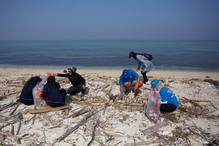 Divers Clean Action menggelar aksi pungut sampah di pesisir Pulau Rambut, Kepulauan Seribu. 'Sehari Menjadi Ranger di Pulau Rambut' adalah tajuk aksinya hari itu.