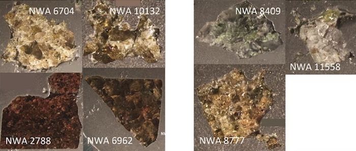 Newcombe dan rekan-rekannya menganalisis kepingan kecil dari tujuh meteorit ini; setiap keping lebarnya beberapa milimeter.