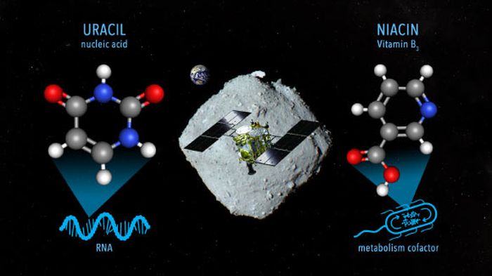 Temuan materi organik dalam sampel dari Asteroid Ryugu benar-benar mengejutkan ilmuwan.