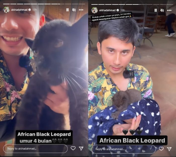 Di tengah perbincangan negatif tentangnya, Alshad Ahmad justru girang memamerkan sosok baru melalui Story Instagram.