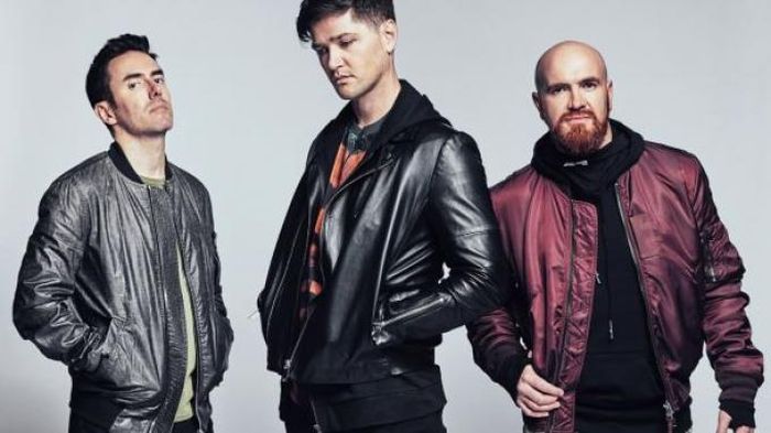 The Script  