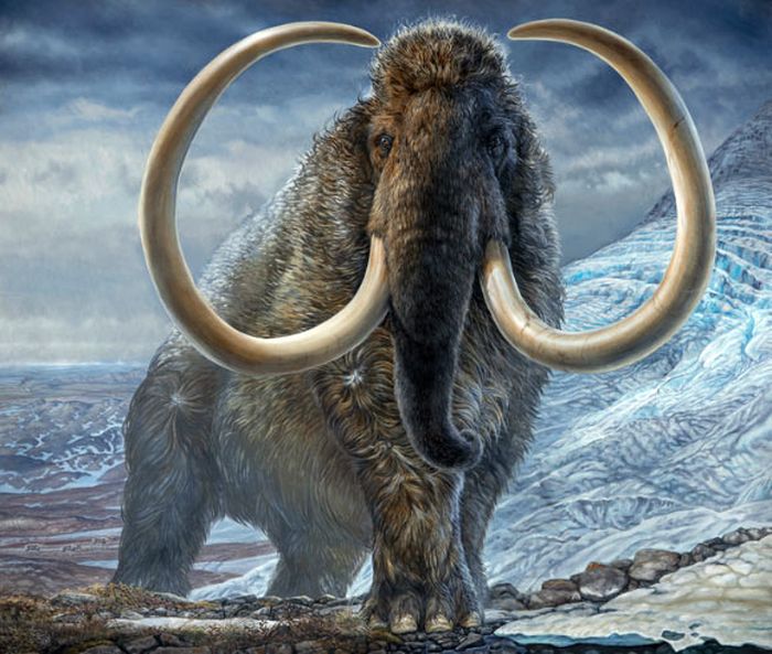 Ilustrasi seekor mammoth berbulu jantan dewasa (Mammuthus primigenius) mengarungi celah gunung di Kutub Utara Alaska, 17.100 tahun lalu.
