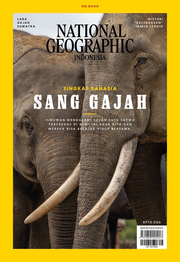 Sampul majalah National Geographic Indonesia edisi Mei 2023, Singkap Rahasia Sang Gajah. Ilmuwan mendalami salah satu satwa tercerdas di Bumi agar kita dan mereka bisa belajar hidup bersama.