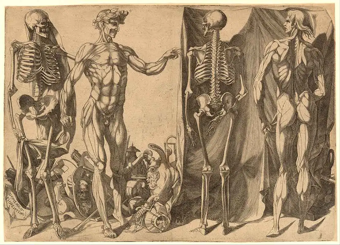 Dua Pria Berkulit dan Tengkorak Mereka oleh Domenico del Barbiere, sekitar tahun 1540-1545.