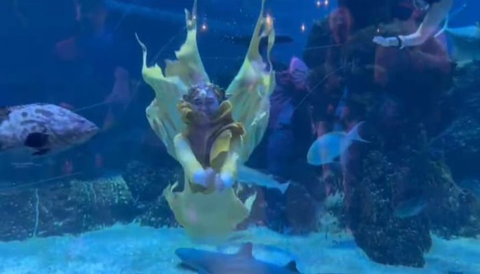 Ria Ricis tampil jadi mermaid di Jakarta Aquarium, Jakarta Barat pada Minggu (4/6/2023).